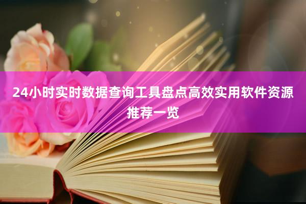 24小时实时数据查询工具盘点高效实用软件资源推荐一览