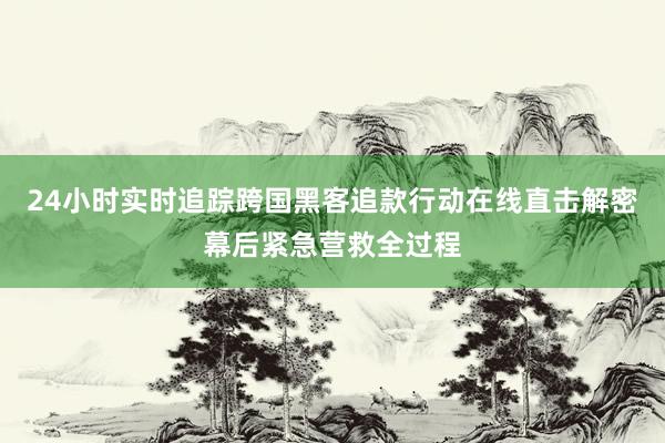 24小时实时追踪跨国黑客追款行动在线直击解密幕后紧急营救全过程