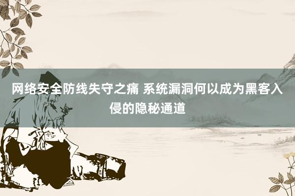 网络安全防线失守之痛 系统漏洞何以成为黑客入侵的隐秘通道