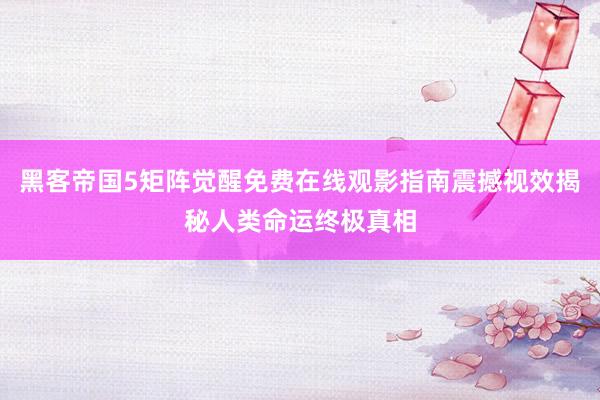 黑客帝国5矩阵觉醒免费在线观影指南震撼视效揭秘人类命运终极真相
